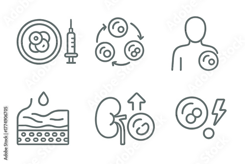 Cloning and Regeneration Icons. Line style icons of cloning technology: therapeutic cloning, stem cell research icon,