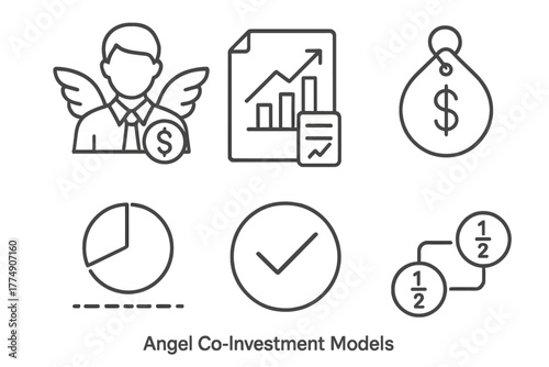 Angel Investment Icons. Line style icons of Angel Co-Investment Models: Lead investor icon, follow-on funding file, investment