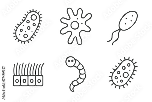 Microbiology Icon Collection. Line style icons of microbiology: protozoa icon, amoeba movement, flagella icon, cilia diagram,