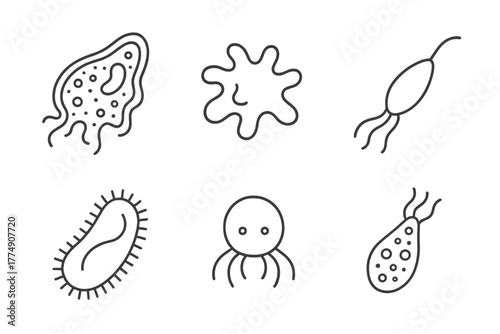 Microbiology Icon Collection. Line style icons of microbiology: protozoa icon, amoeba movement, flagella icon, cilia diagram,