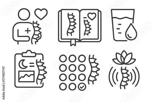Chiropractic Care Icons. Line style icons of chiropractic care: holistic lifestyle support, spinal health journal, water intake