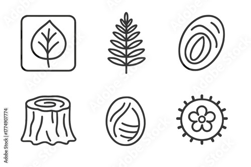 Paleontology Icon Collection. Line style icons of paleontology: paleobotany icon, fossil leaf print, ancient fern, seed fossil,