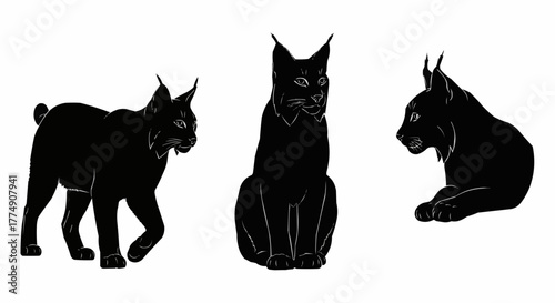Stylish lynx silhouette set featuring elegant standing and walking poses isolated on white background for modern wildlife design use