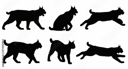 Stylish lynx silhouette set featuring elegant standing and walking poses isolated on white background for modern wildlife design use