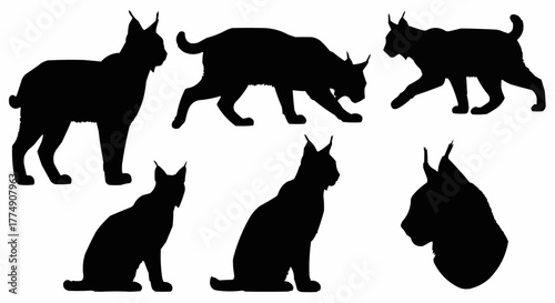 Stylish lynx silhouette set featuring elegant standing and walking poses isolated on white background for modern wildlife design use