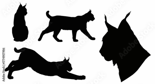 Stylish lynx silhouette set featuring elegant standing and walking poses isolated on white background for modern wildlife design use