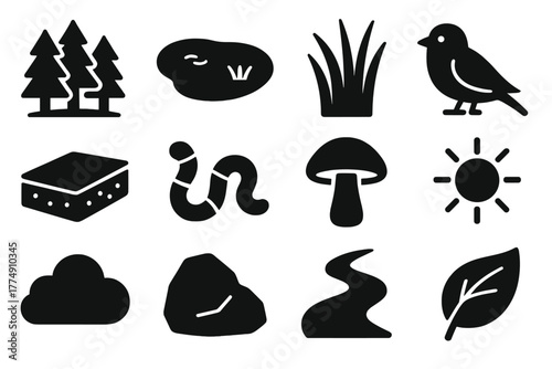 Ecosystem Icon Set. Solid style icons of ecosystem components and interactions: forest, pond, grass, bird, soil, worm, mushroom,