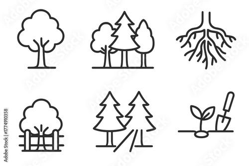 Forest Resilience Icons. Line style icons of Forest Resilience: healthy tree, diverse forest, strong root system, protective