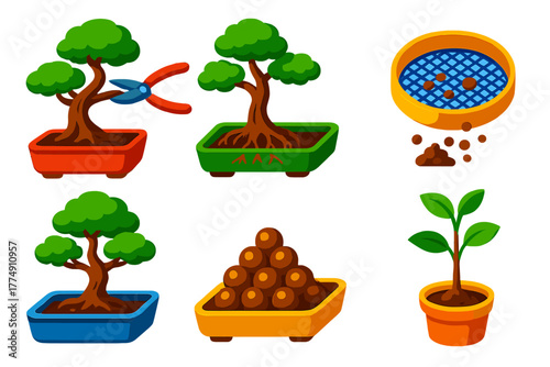 Bonsai Growth Techniques. Isometric vector illustration set Bonsai Growth Techniques: clip-and-grow method, root pruning tray,
