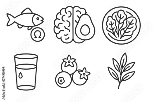 Neuroplasticity Boosting Icons. Line style icons of diet supporting neuroplasticity: omega-3 food icon, brain with avocado, leafy