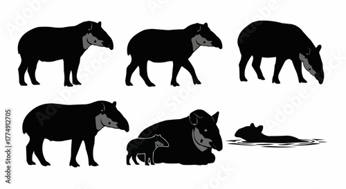 Minimal tapir silhouette set featuring standing and walking rainforest poses isolated on white background for modern wildlife design use