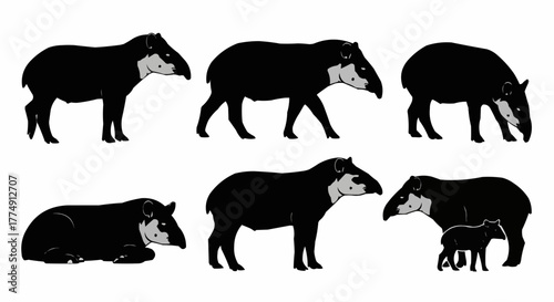 Minimal tapir silhouette set featuring standing and walking rainforest poses isolated on white background for modern wildlife design use