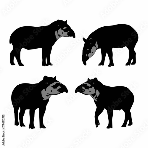 Minimal tapir silhouette set featuring standing and walking rainforest poses isolated on white background for modern wildlife design use