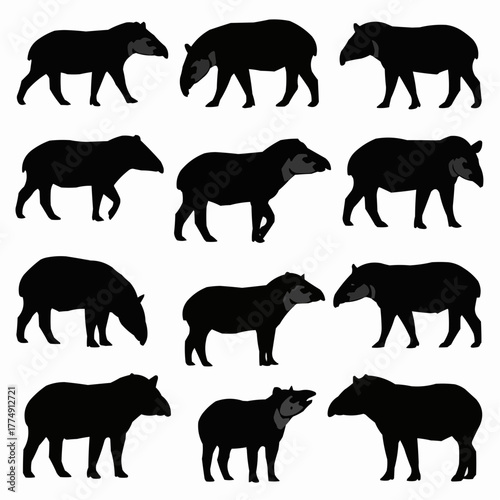 Minimal tapir silhouette set featuring standing and walking rainforest poses isolated on white background for modern wildlife design use