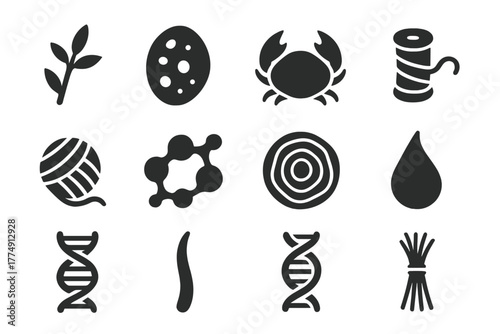 Natural Polymers Icons. Solid style icons of natural polymers: cellulose fiber, starch granule, chitin shell, silk thread, wool