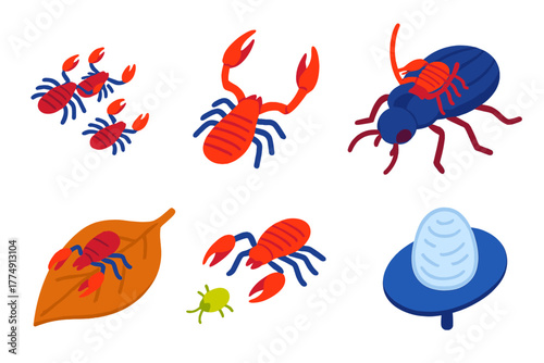 Colorful Pseudoscorpion Icons. Isometric vector illustration set Pseudoscorpions: tiny pseudoscorpions, venomous pincers, phoretic