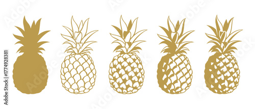 collection of pineapple tropical fruits isolated on white background