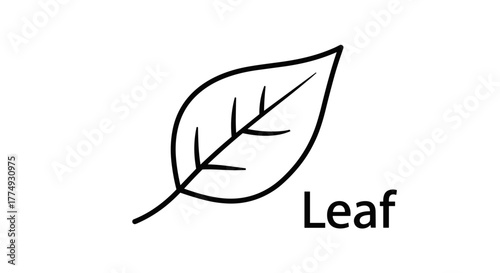 A minimalist, hand-drawn illustration of a single leaf, featuring delicate veins and a stem, rendered in a clean, thin line style against a dark background, accompanied by the word "Leaf" in a subtle