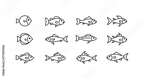 Simple black line art fish icon graphic design illustration for website and mobile app design projects, representing the sea, presented on a clean white background. This ordered line icon set is