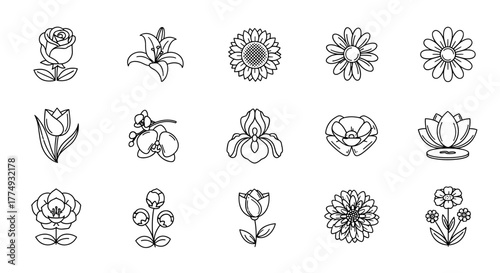 Set of 15 stylized line art flower icons and logos, including roses, lilies, tulips, sunflowers, orchids, irises, poppies, lotuses, and daisies, presented on a clean white background, perfect for
