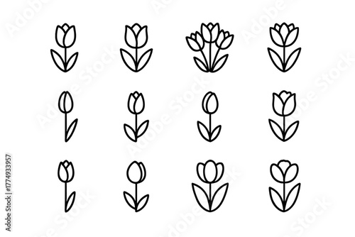 Collection of simple line drawings of tulips arranged in various styles and orientations on a white background