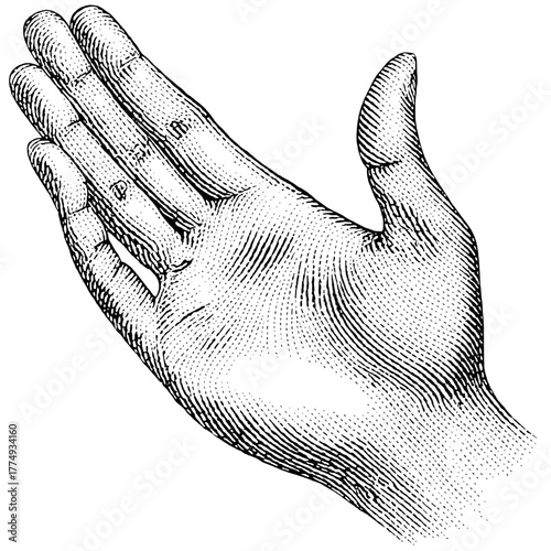 Engraved illustration of a hand gesture portraying openness and invitation in a vintage style