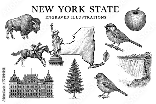 Engraved illustrations celebrating New York state with iconic symbols and wildlife in a detailed vector art collection