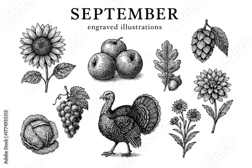 Engraved illustrations showcasing seasonal themes including harvest fruits and autumn flora in a decorative bundle