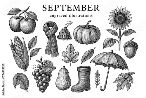 Engraved illustrations celebrating the essence of September with nature's bounty and seasonal symbols
