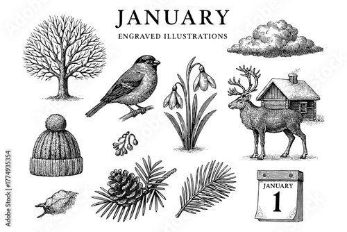 Discover the beauty of January through engraved illustrations featuring nature, wildlife, and seasonal elements