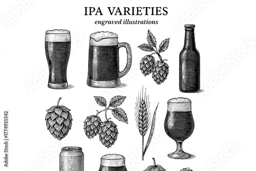 Explore a captivating collection of engraved illustrations featuring a variety of IPAs, showcasing unique beer styles and hop designs