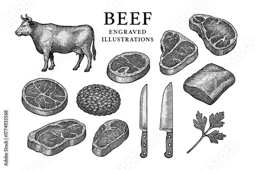 Engraved collection showcasing beef cuts, tools, and a cow, reflecting classic butchery art style