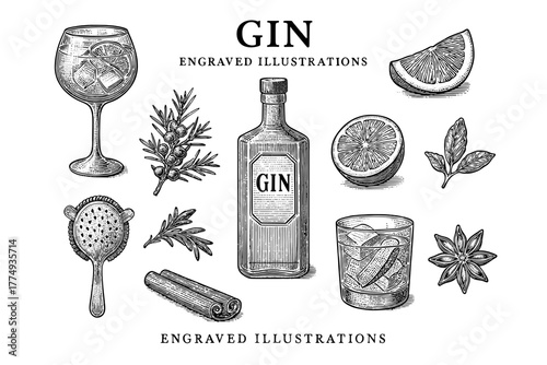 Engraved illustrations of gin and botanical ingredients for creative cocktail designs
