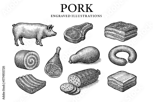 Engraved illustrations showcasing various pork cuts and products in a detailed and artistic style