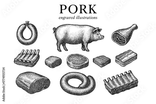 Engraved illustration set showcasing various pork cuts and products in vintage style