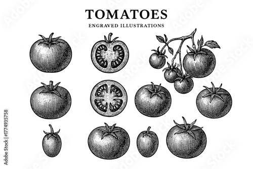 Detailed engraved illustrations of various tomatoes showcasing their unique shapes and textures