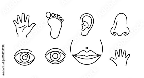 Minimalist outline vector icons of baby body parts, including a baby hand with tiny fingers, a foot, ear, nose, belly button, eyes, and mouth, presented in a modern, clean line art style on a black
