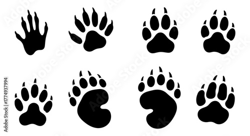 Set of black silhouette animal paw prints, featuring identifiable raccoon and bear tracks, isolated on a clean white background, showcasing distinct claw and pad patterns for diverse design