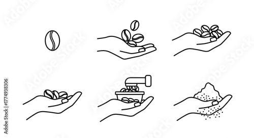 Step-by-step illustration of coffee bean processing, from a single bean to ground coffee, held in a hand, presented as a clean outline line icon for graphic and web design, apps, adverts, and various