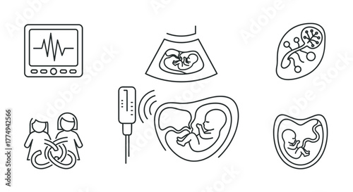 Vivid outline icons depict maternal-fetal medicine, showcasing ultrasound scans of a fetus, a heart monitor displaying vital signs, a detailed placenta, the mother-baby connection, and symbols for