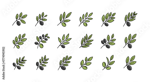 Set of 18 stylized olive branch icons with black and green olives, presented in a clean, ordered line on a white background, perfect for logos and graphic design elements, vector cartoon illustration.