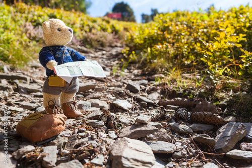 Summer Wanderlust Vacation Trip - Happy teddy bear at hiking tour looking for right way (copy space)