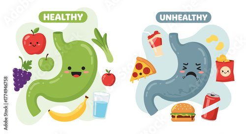 Vivid flat vector illustrations comparing a healthy, happy green stomach surrounded by fruits like apples, grapes, and bananas, with an unhealthy, sad blue stomach next to junk food such as pizza