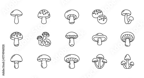 Collection of 15 outline mushroom icons, perfect for graphic and web design, apps, adverts, and various cards. This vector cartoon illustration set features diverse mushroom shapes on a white