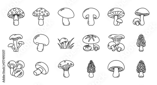Collection of outline mushroom icons, perfect for graphic and web design, apps, adverts, and various cards. This vector cartoon illustration features a white background, offering a clean and