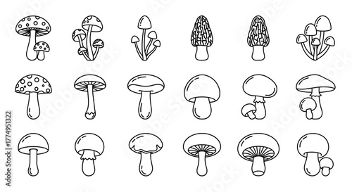 Vivid Mushroom Line Icon Pack: Outline Signs for Graphic and Web Design, Apps, Advertisements, and Various Cards. This Vector Cartoon Illustration on a White Background Features a Collection of