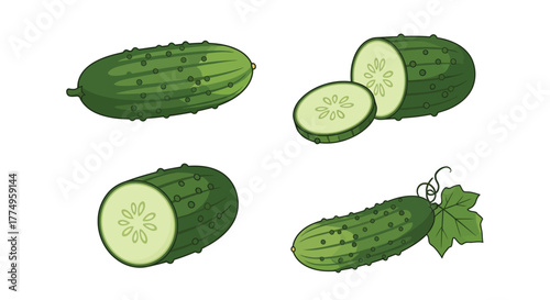 Fresh green cucumbers in various stages of preparation sliced and whole