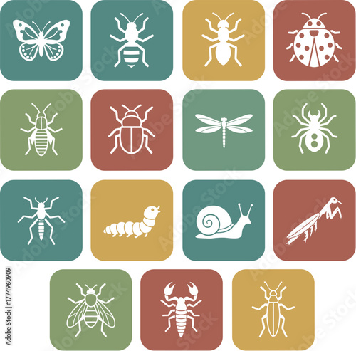 Simple Geometric Insect Icon Set with Rounded Square Background Collection