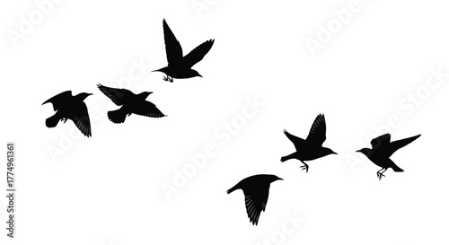 A flock of black birds in flight silhouetted against a white background