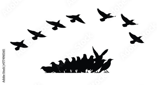 A flock of birds taking flight above a group of animals